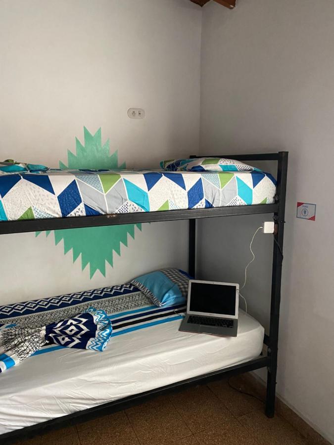 Bunk Bed in Mixed Dormitory Room